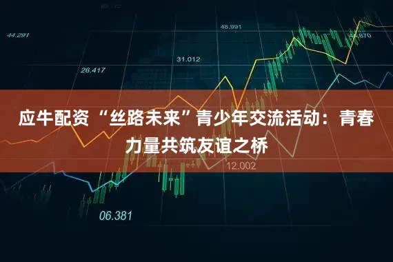 应牛配资 “丝路未来”青少年交流活动：青春力量共筑友谊之桥